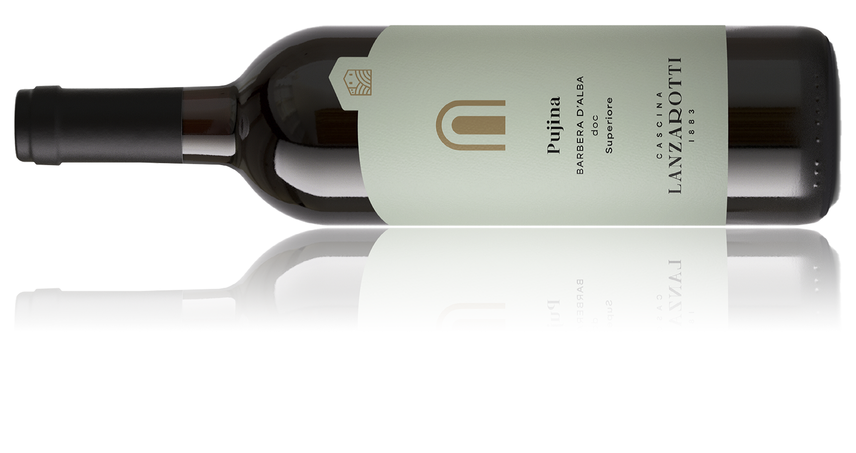 Barbera d'Alba DOC Superiore "Pujina"