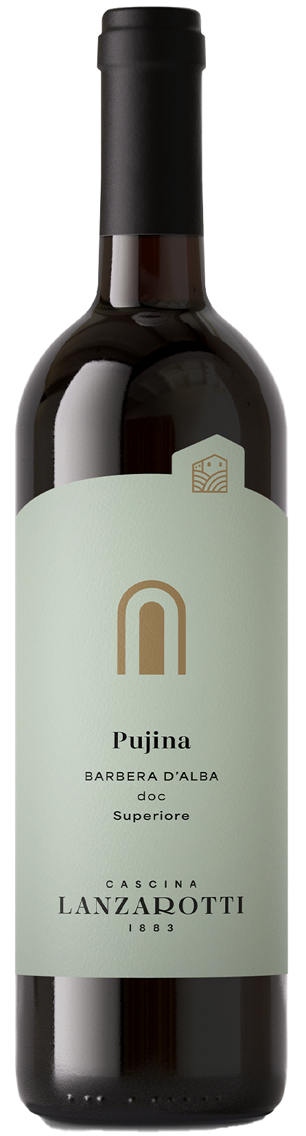 Barbera d'Alba DOC Superiore "Pujina"